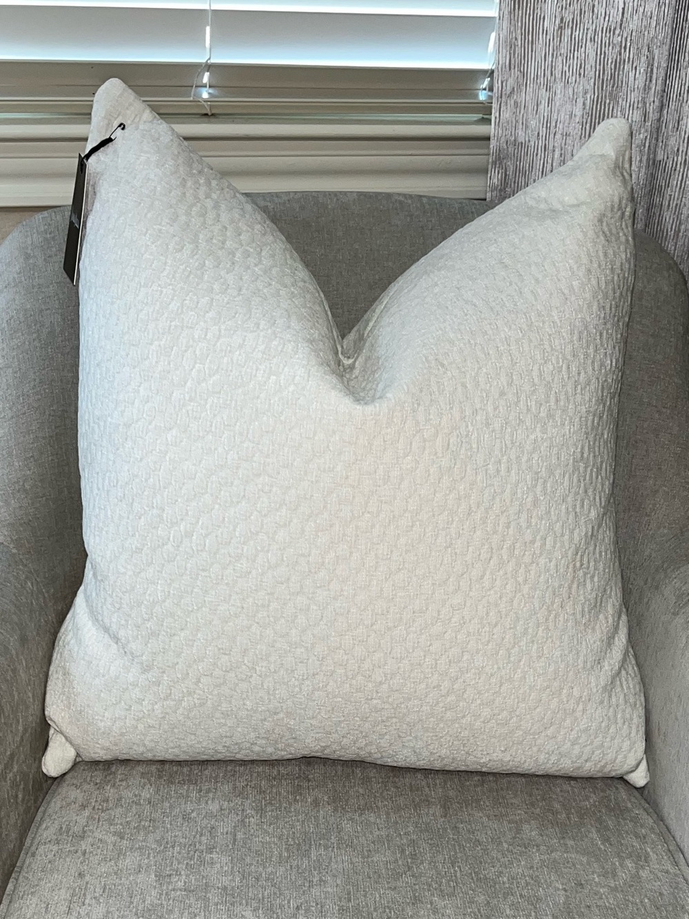 1-NWT NEIMAN MARCUS TEXTURE VELVET DESIGN DECORATIVE PILLOW (NH6200)